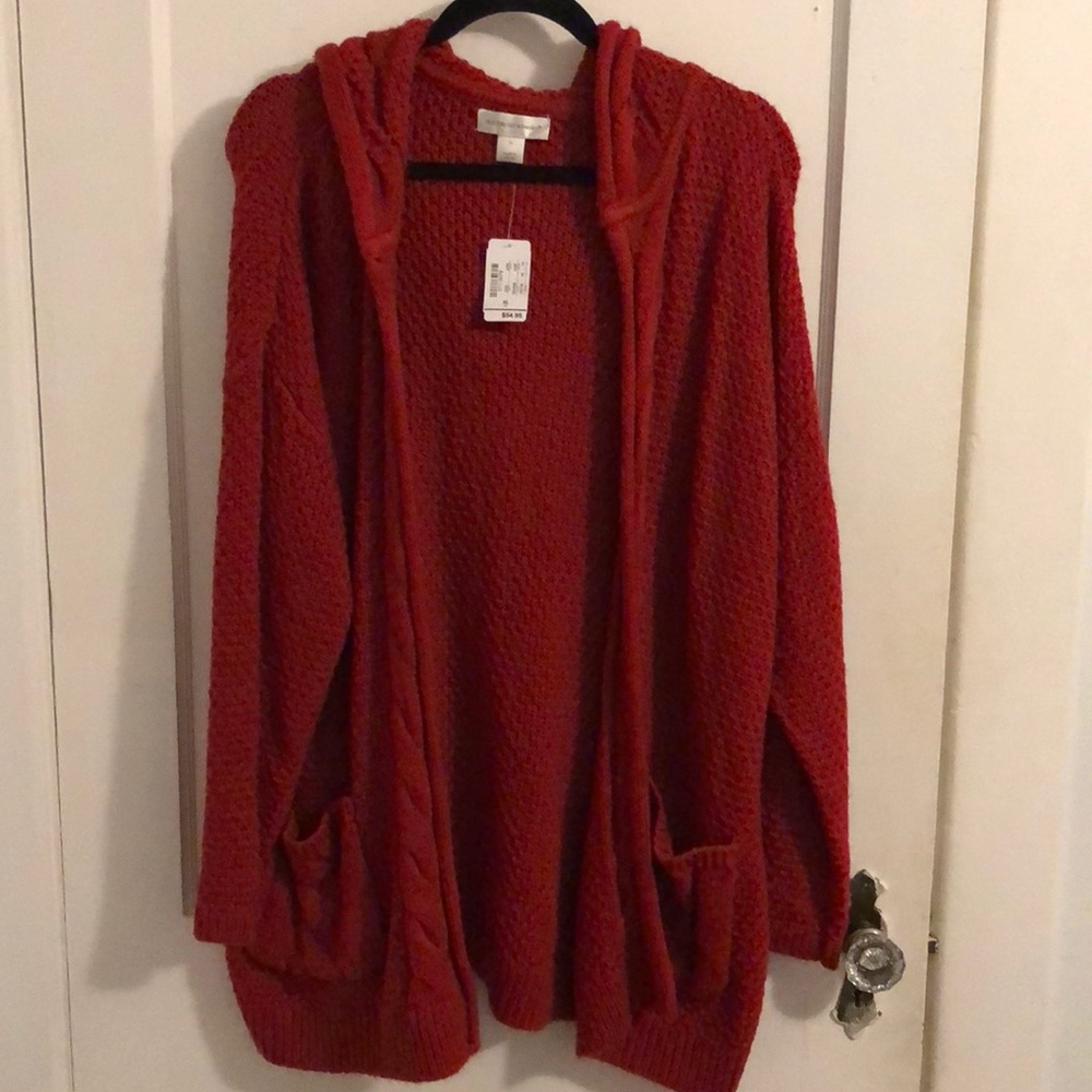 Christopher & Banks Hooded Sweater